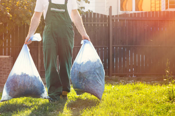 Best Shed Removal  in Stillwater, MN